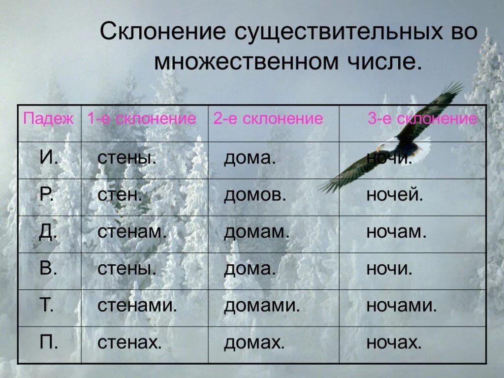 Окончания падежей мн ч. Склонение имен существительных во множественном числе таблица. Склонение имен существительных множественного числа по падежам. Склонение имен существительных во множественном числе. Склонение имен сущ во множественном числе.