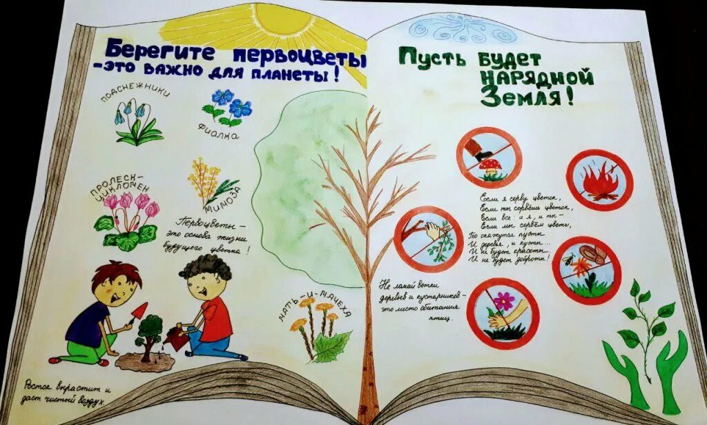 Листовка биология. Плакат о защите растений. Берегите растения. Плакат в защиту дикорастущих растений. Плакат берегите растения.