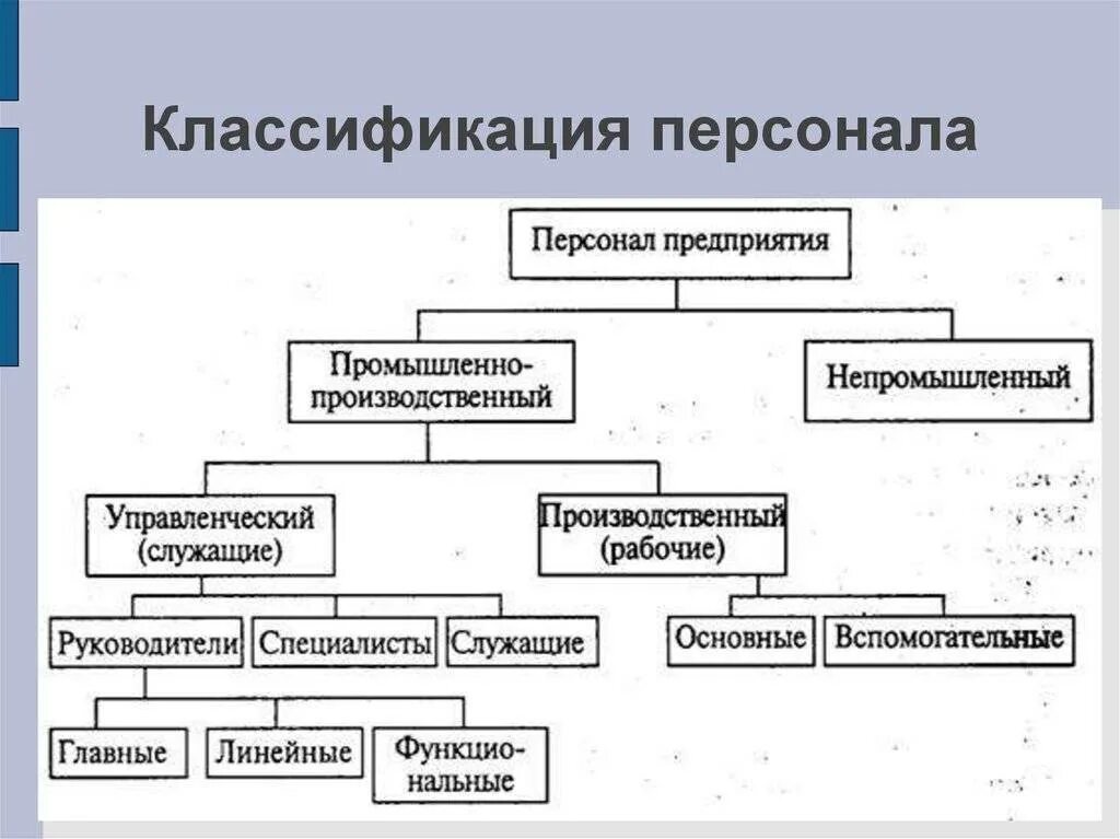 Две группы производства. Классификация персонала предприятия схема. Классификация персонала предприятия таблица. Категория работников предприятия схема. Персонал организации понятие классификация.