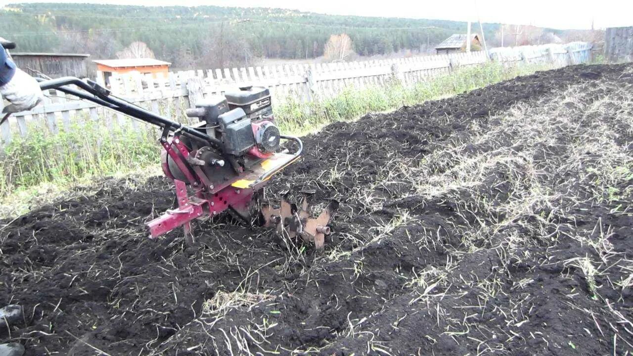 Мотоблок брайт 135 17 л с фрезой. Пахать мотоблоком с плугом. Как пахать мотоблоком фрезами. Как пахать мотоблоком фрезами. Вспашка культивация мотоблоком.