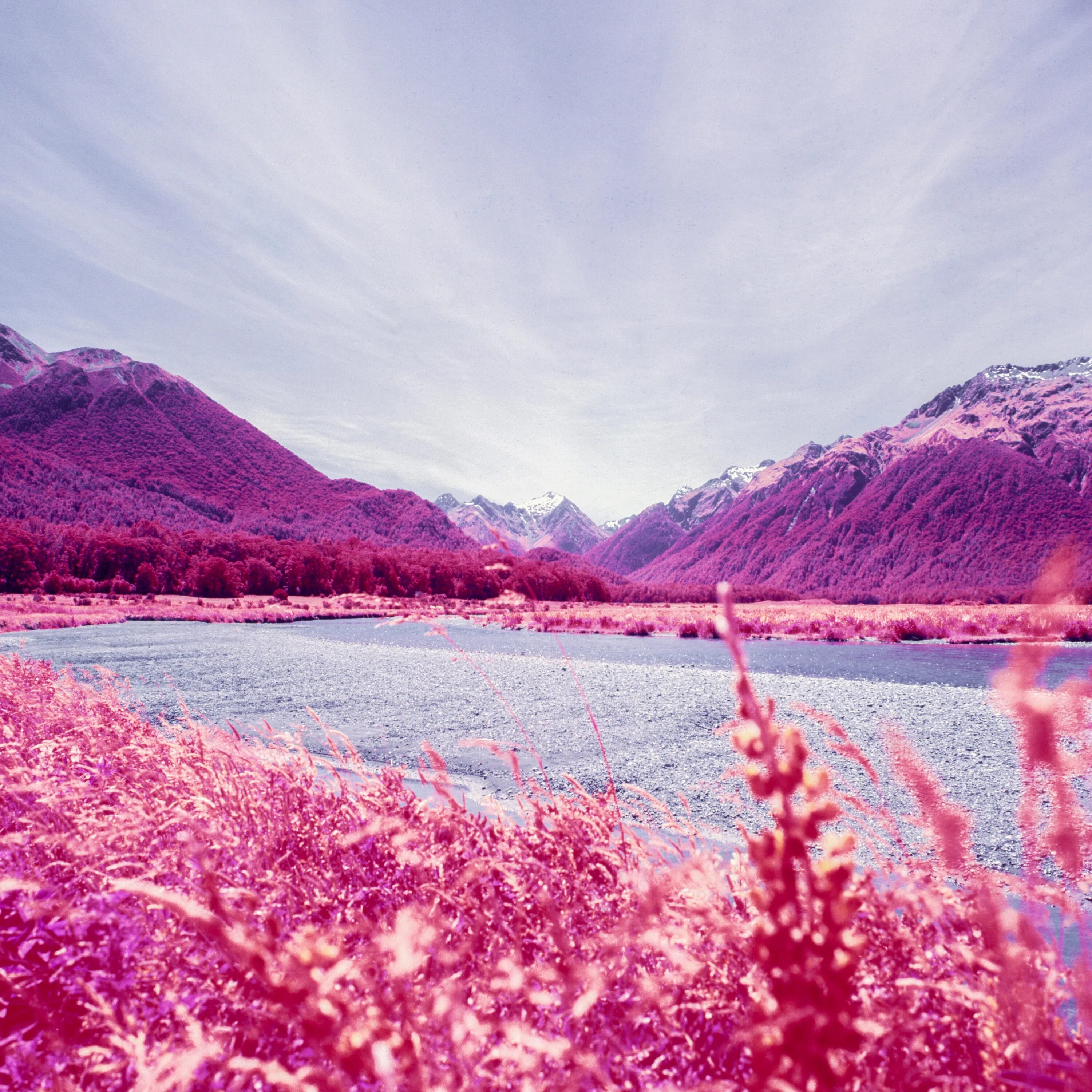 Инстаграмм природа. Красивая природа. Необычные пейзажи. Розовый пейзаж. Природа для инстаграмма.