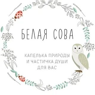 Центр белая сова