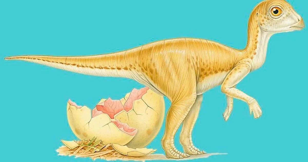 Динозавры откладывают яйца. Динозавр высиживает яйца. Динозавр с яйцом.