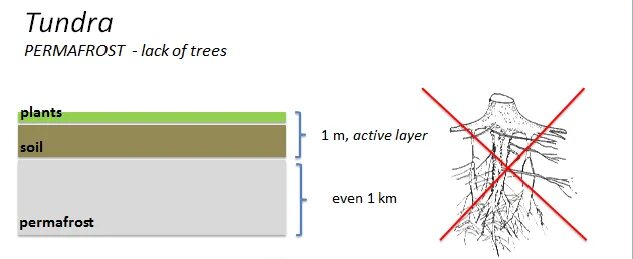 Active layer
