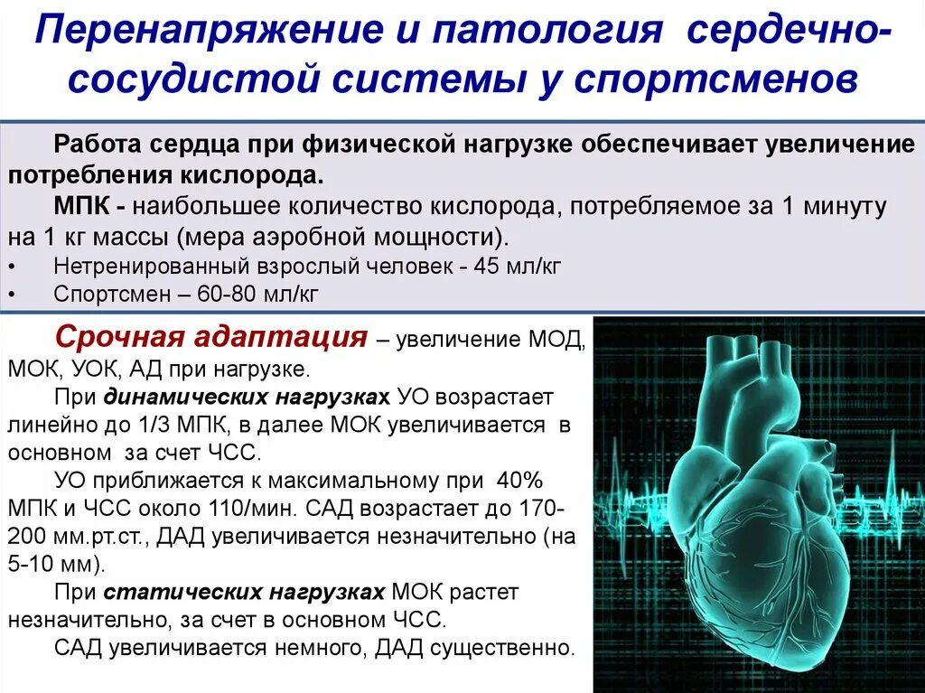 Длительная статическая нагрузка заболевания. Изменение работы сердца при физических нагрузках. Нагрузка на сердце при физической нагрузке. Сердце и физические нагрузки. Изменения работы сердца при нагрузке.