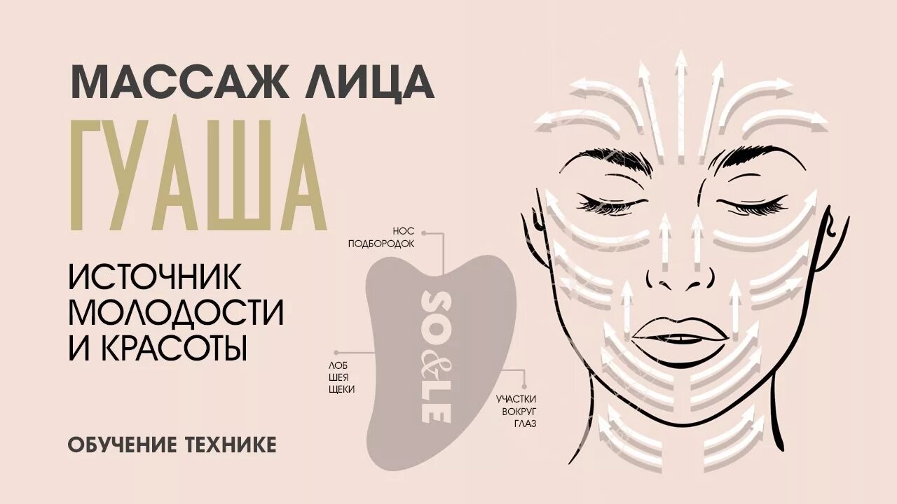 Massage как пользоваться. Массаж скребком Гуаша для лица техника. Схема массажа Гуаша для лица скребком. Массажные линии лица Гуаша схема. Массаж Гуаша массажные линии схема.