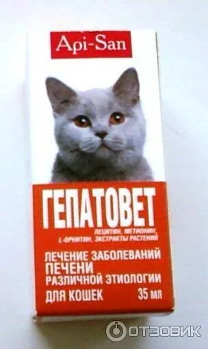 Как лечить печень у кошки