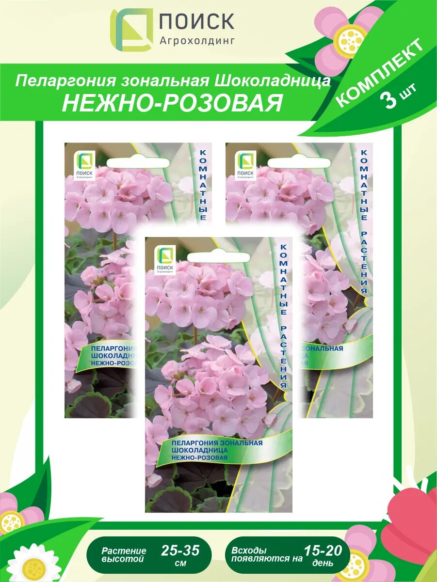 пеларгония зональная шоколадница нежно-розовая. пеларгония зональная шоколадница. пеларгония шоколадница нежно-розовая. пеларгония зональная шоколадница. петуния кашемир f1 обильноцветущая махровая 10шт.