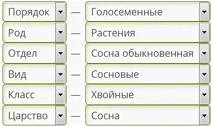 Картинки СИСТЕМАТИЧЕСКАЯ ГРУППА ЧЕРЕПАХИ