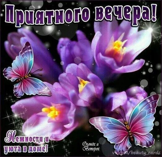 Майского вечера и хорошего настроения. Чудесного весеннего вечера. Хорошего весеннего вечера и отличного настроения. Доброго весеннего вечера и хорошего настроения. Красивые поздравления с добрым вечером.