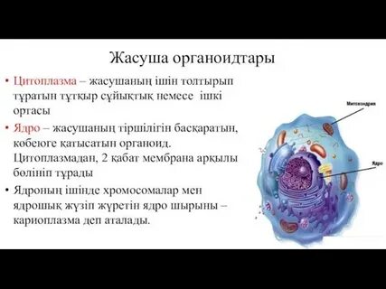 Сүтті супер секс