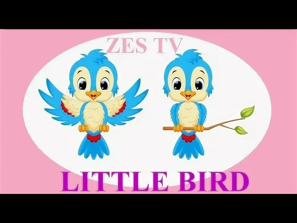 Can you little. Can you little