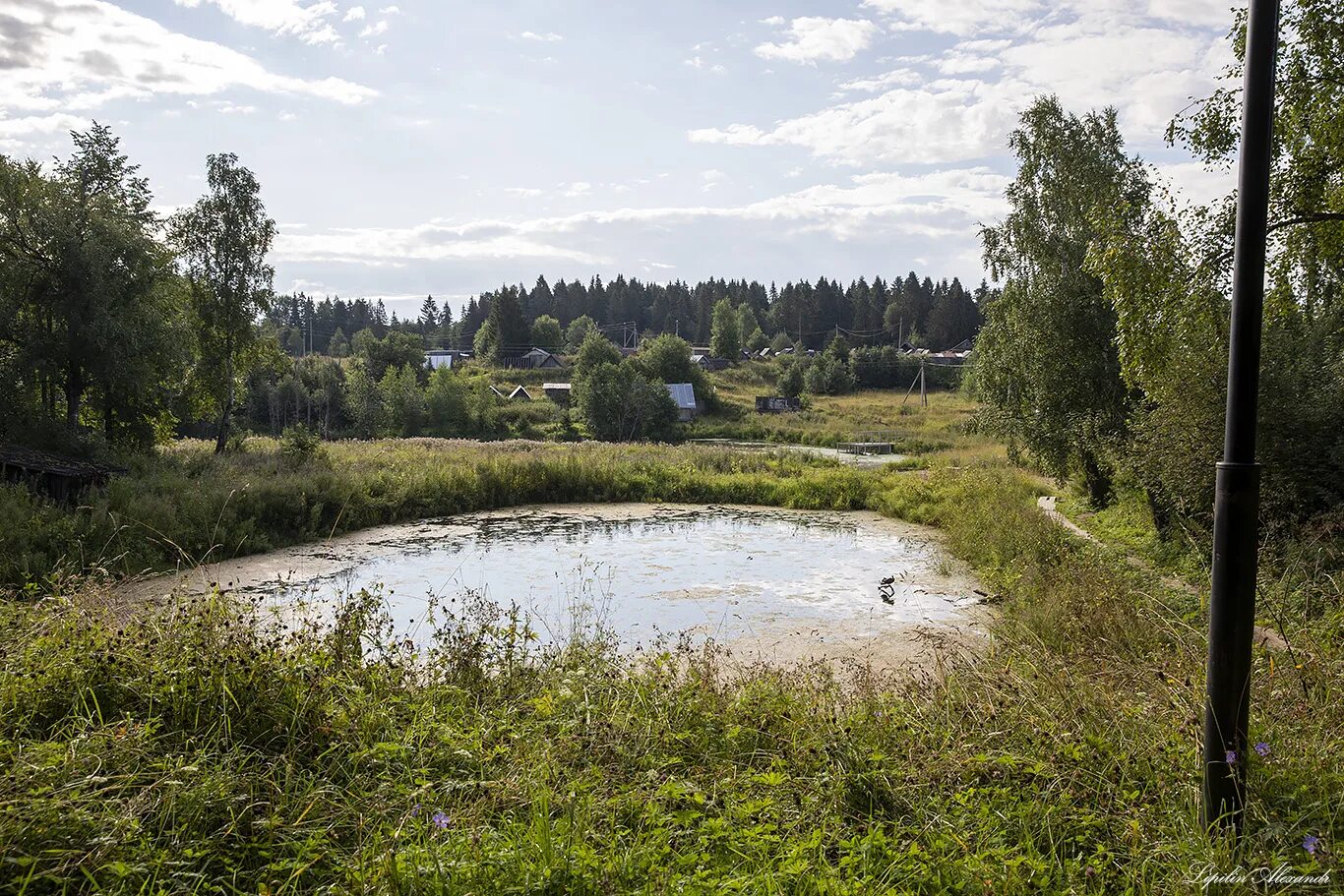 Куркино область погода на неделю