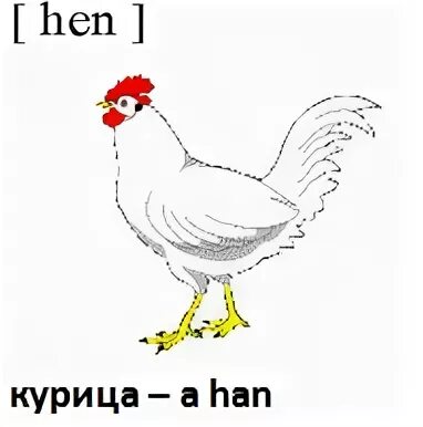 Кур перевод на русский. Курица на английском. Курица карточка по английскому. Карточка петух на английском. Курица на английском языке с транскрипцией.