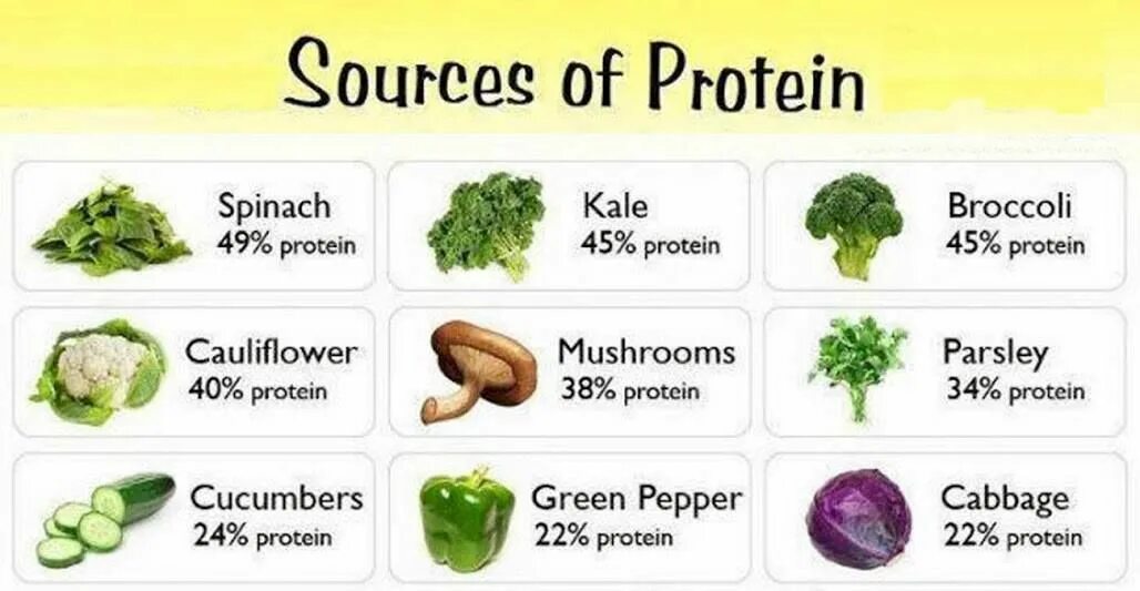 Сколько белка в огурце. Брокколи белок. В брокколи есть белок. Количество белка в брокколи. В шпинате есть белок.