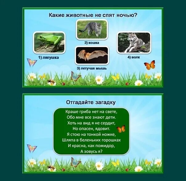 Какие животные не спят ночью. Какие животные спят ночью. какое животное не спит ночью. какие звери не спят ночью. животные которые не спят ночью 1 класс.