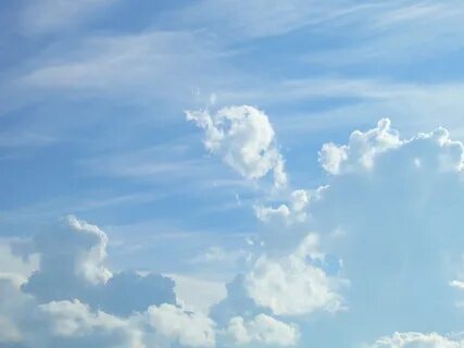 Sky белая