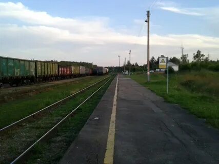 Первомайск москва поезд