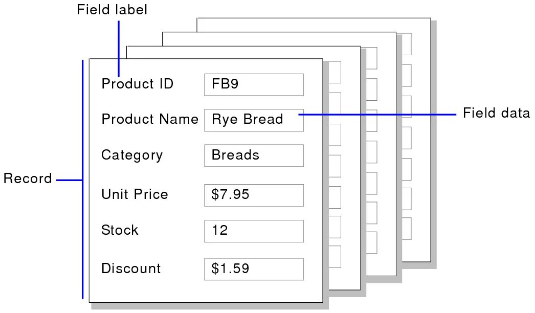 Data field. Database field and record. Field data сайта. MBR fields. Database fields