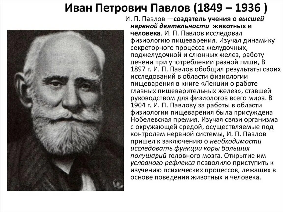 Павлова е п. Биография о Иване Павлове. Краткая биография Павлова Ивана Петровича.