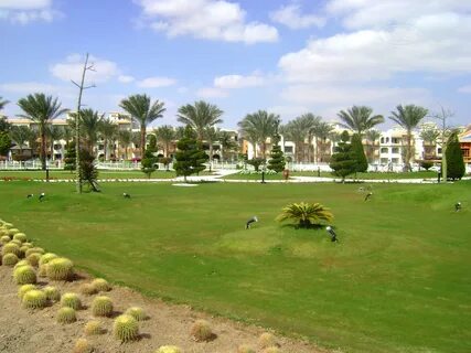 Dana beach 5 отзывы