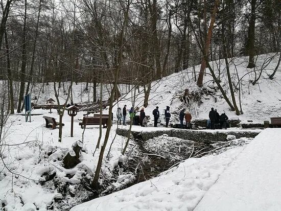 Родники в парке покровское стрешнево. Родники в парке покровское стрешнево. Парк покровское-стрешнево родник. Парк покровское-стрешнево родник царевна-лебедь. Родники в парке покровское стрешнево.