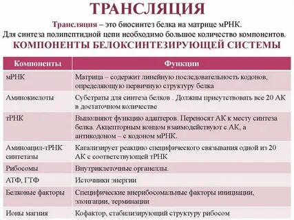 При синтезе белка роль матрицы выполняют