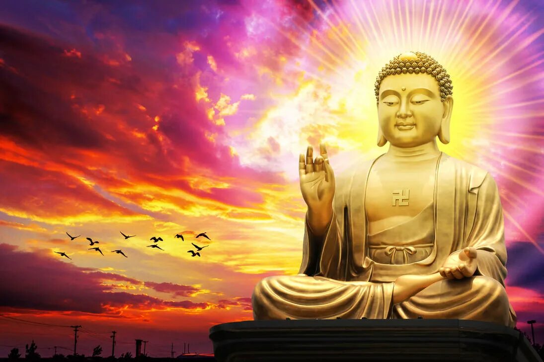 Буда гришна. Монастырь Намо Будда. Будда Пробужденный. Буддизм золото. Будда разум.
