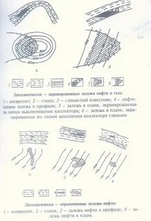 Литологически экранированный