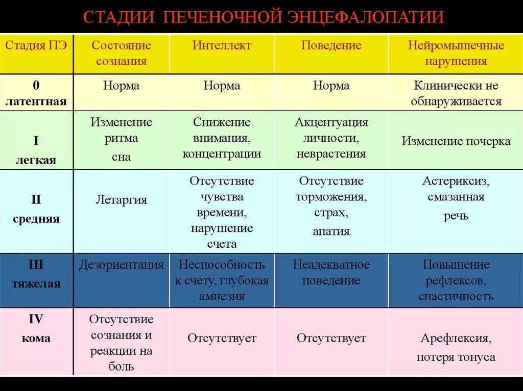 Стадии печеночной энцефалопатии. Стадии печеночной энцефалопатии таблица. Печеночная энцефалопатия стадии. Степени печеночной энцефалопатии. Печеночная энцефалопатия 2 степени.