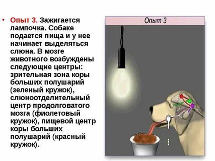 Эксперимент на трех человеках
