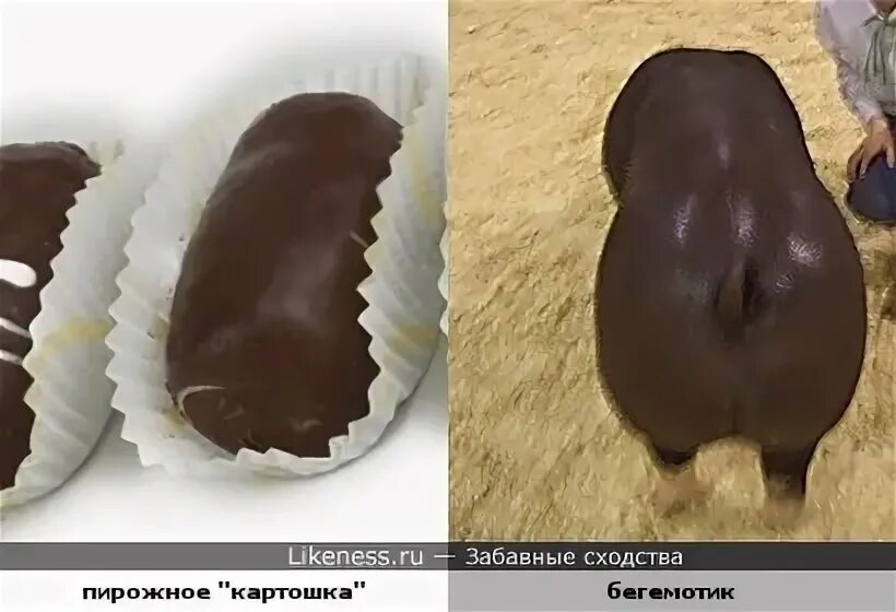 Картошка какашка. Пирожное "картошка". Пирожные похожие на картошку. Игрушка в виде какашки. Советское пирожное картошка.