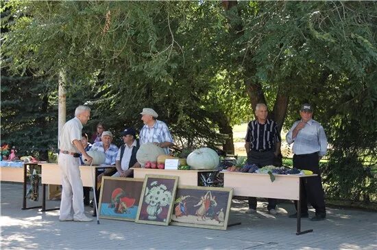 Погода в заветном ростовской области на 14. Село заветное Ростовская. Заветинский район село заветное. Заветинский район Ростовской области. Заветное памятник.