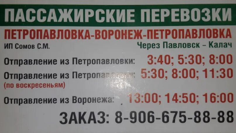 Автобус 529 павловск гатчина расписание на сегодня. Маршрутка Калач Воронеж Петропавловка. Маршрутка Воронеж Петропавловка. Маршрутка Петропавловка Воронеж расписание. Маршрутка Калач Воронеж.