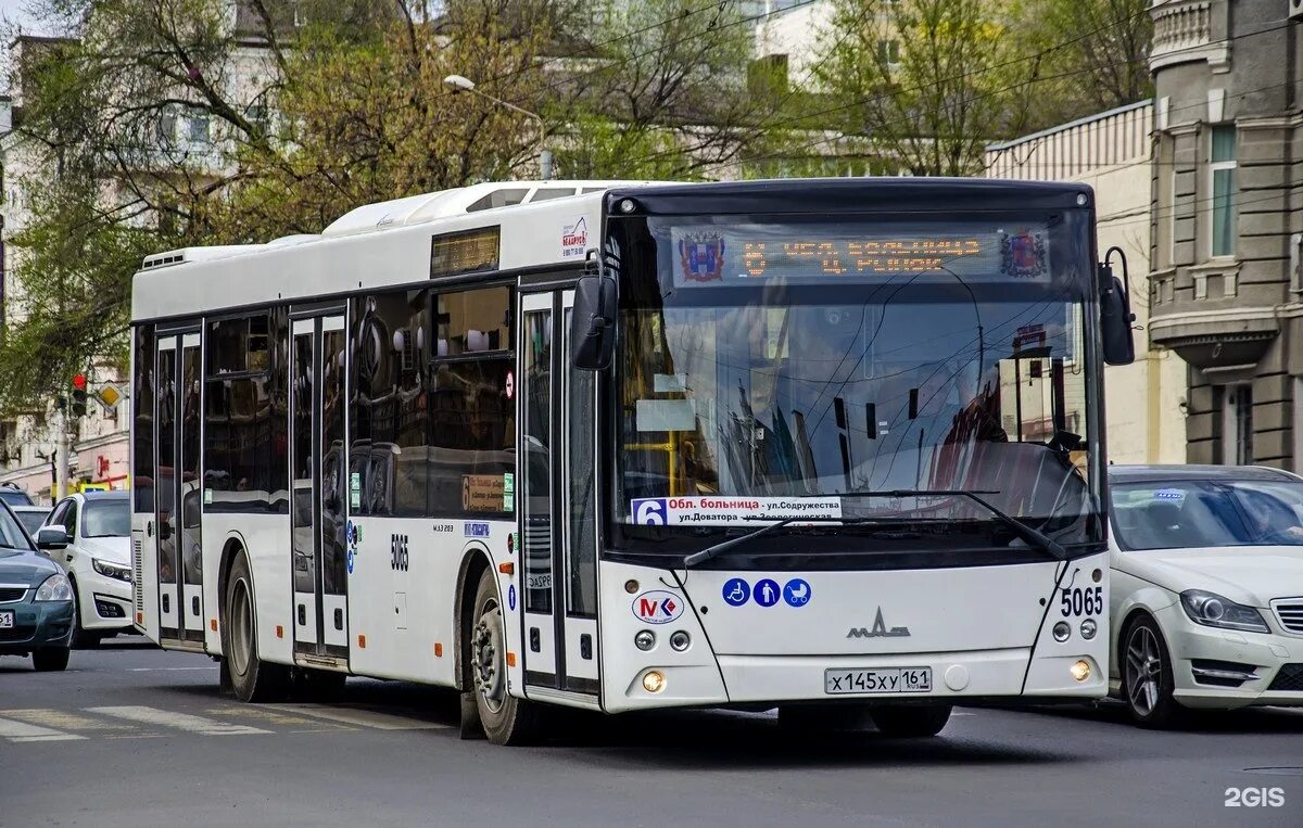 Пятьдесят шестого автобуса. ЛИАЗ 529260. МАЗ 203 Ростов. МАЗ-203 автобус Ростов. МАЗ 103.069 Ростов на Дону.