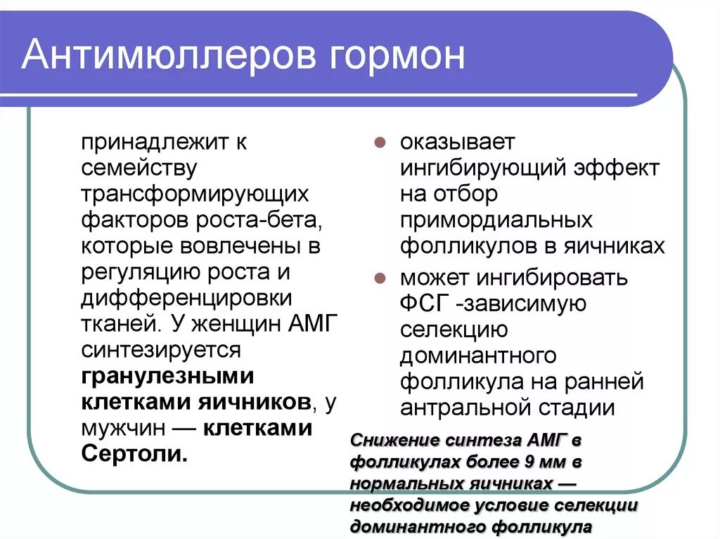 За что отвечает антимюллеров гормон у женщин