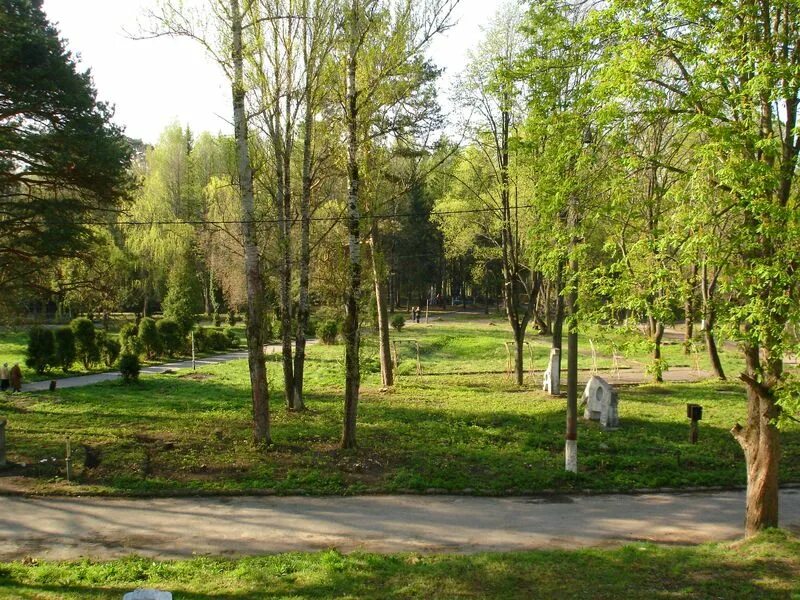 Микрорайон Петровка Алексин. Петровский парк Алексин. Парк Петровское Алексин. Парк Петровка. Петровский парк сайт парка