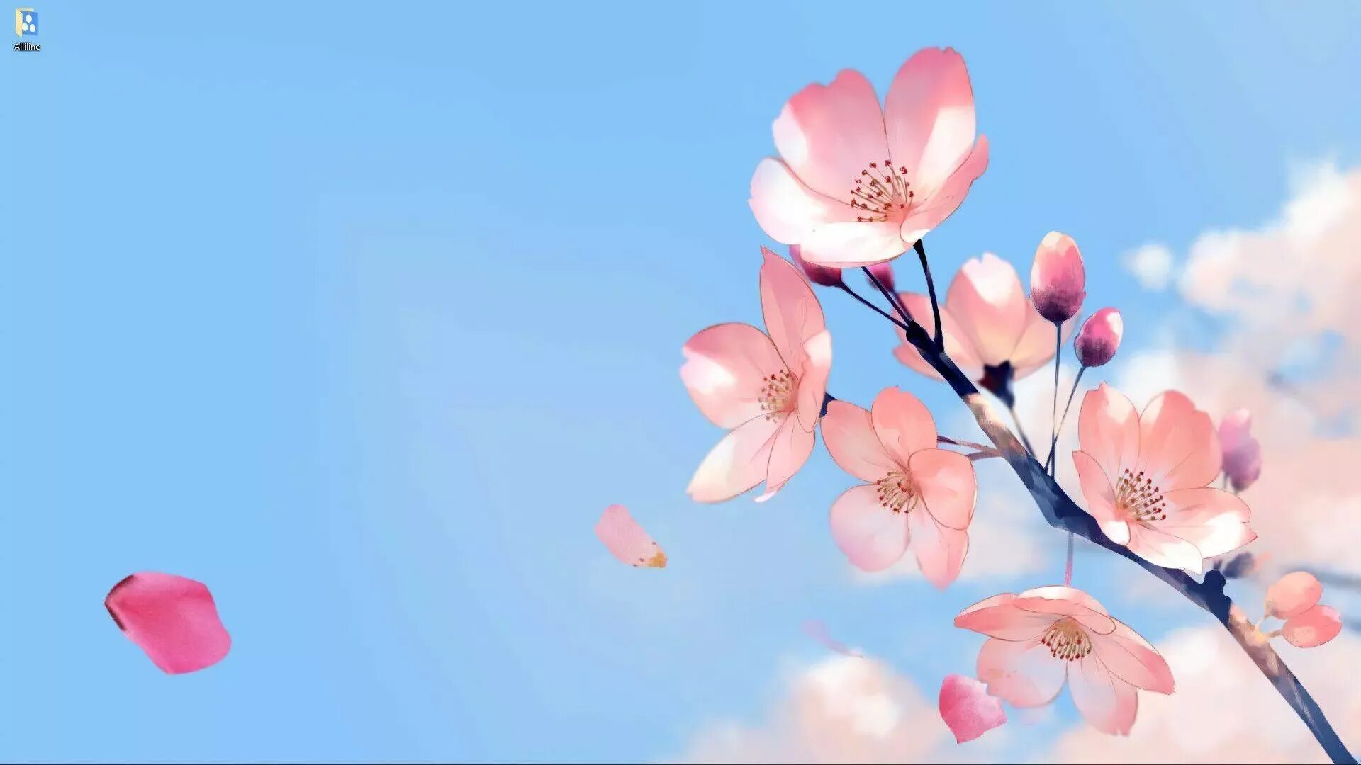 Сакура живые обои. Цветы Сакуры. Сакура фон. Сакура на фоне неба. Ветка Сакуры на голубом.
