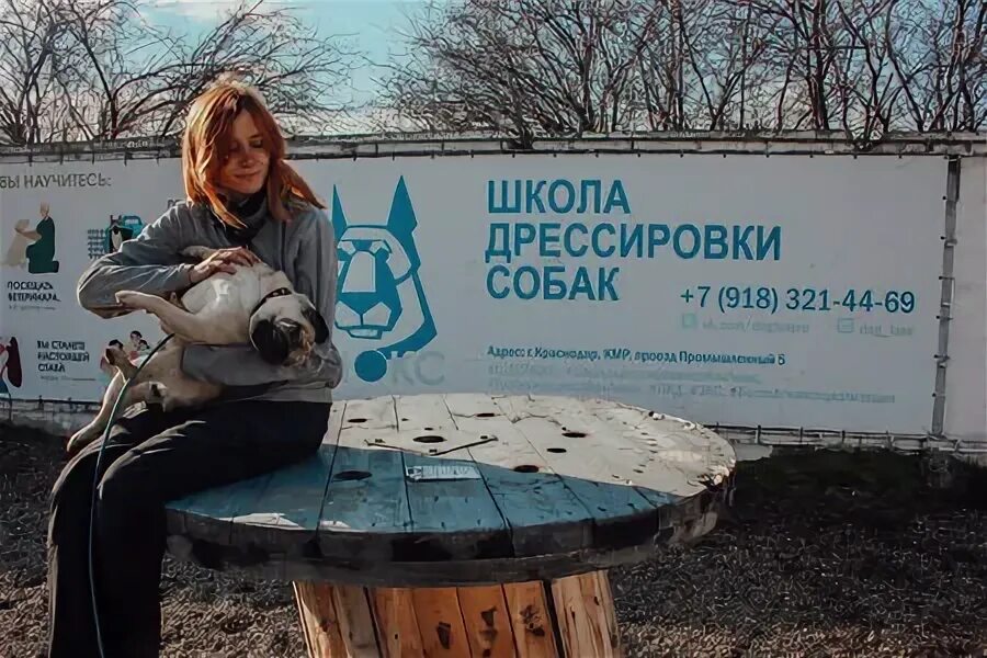Школа дрессировки собак люкс. Люкс школа. Школа дрессировки собак люкс. Школа лукс. Собака люкс.