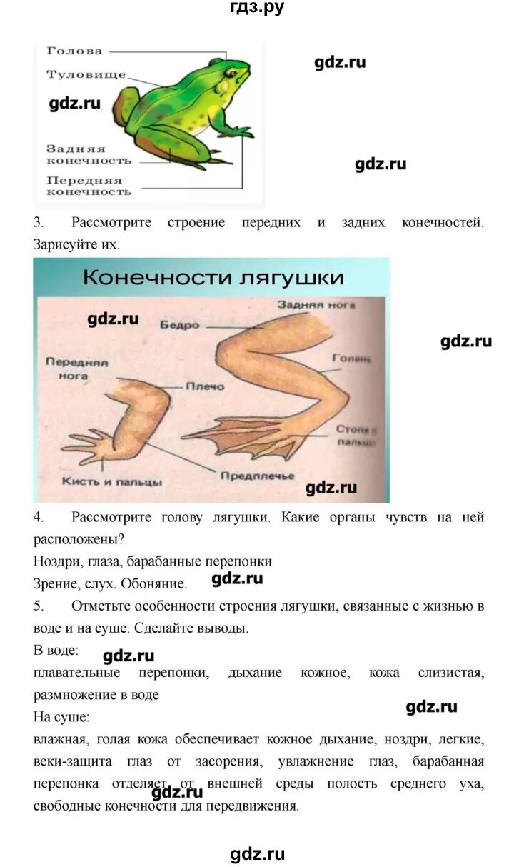 Гдз по биологии 8 класс Сонин Захаров. Гдз по биологии 8 класс Захаров тетрадь. Рабочая тетрадь по биологии 8 класс Захаров. Гдз по биологии 8 класс рабочая тетрадь Захаров. Биология 8 класс тетрадь захаров сонин