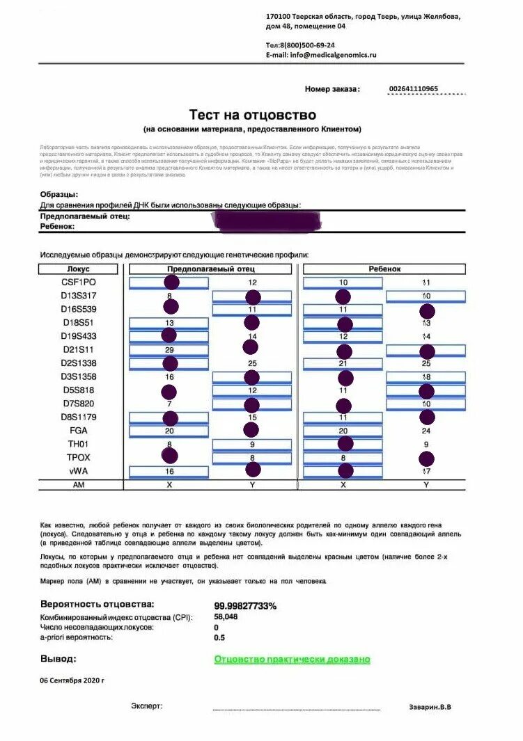 Тест на отцовство красноярск. Тест ДНК на отцовство пример результата. Образец заключения ДНК теста на отцовство. Как выглядит заключение теста ДНК на отцовство. Тест ДНК бланк.