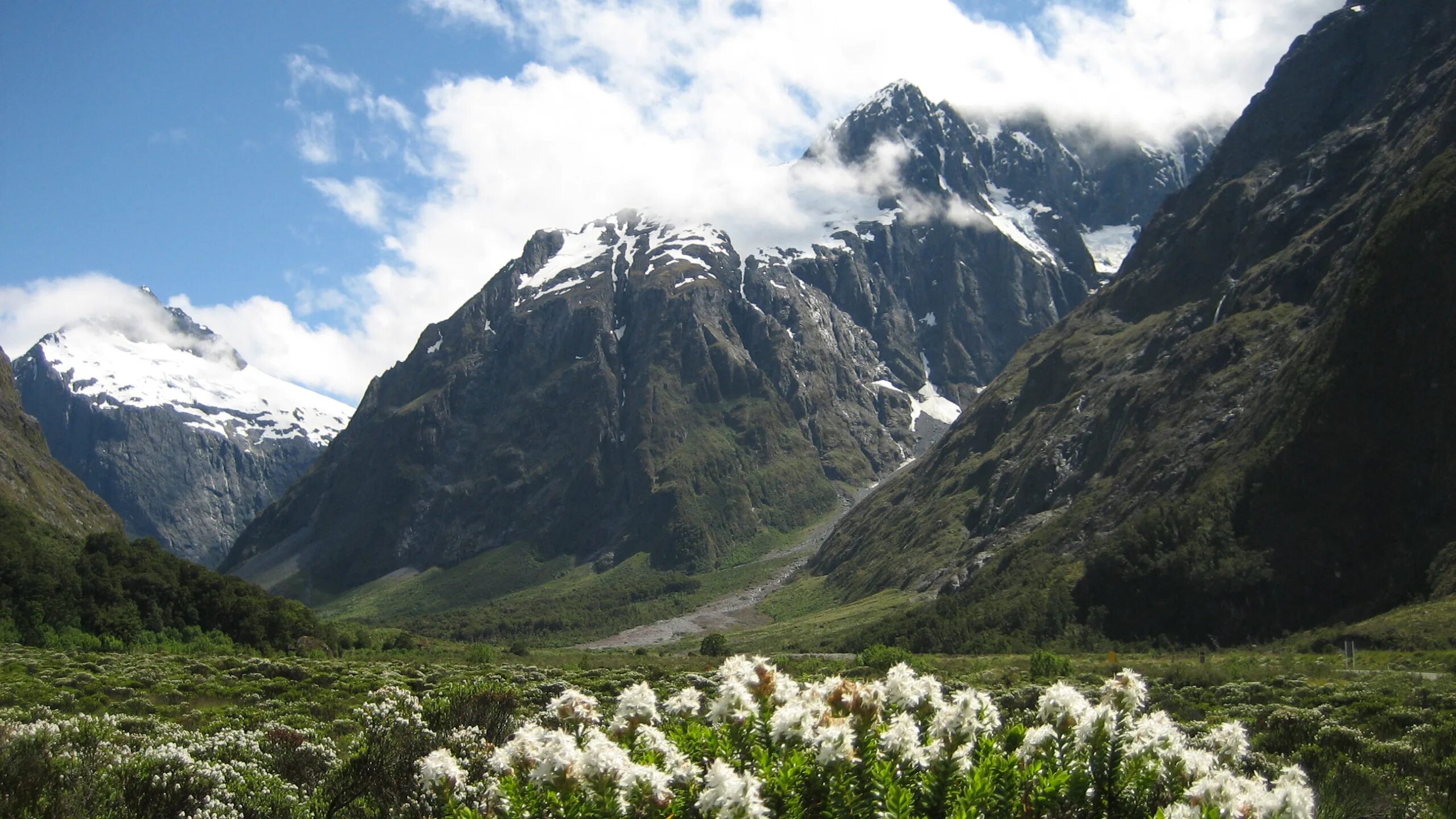 New zealand national. Национальный парк Фьордленд. Заповедник Фьордланд, новая Зеландия. Парк Фьордленд новая Зеландия растительный мир. Fiordland National Park New Zealand обои.