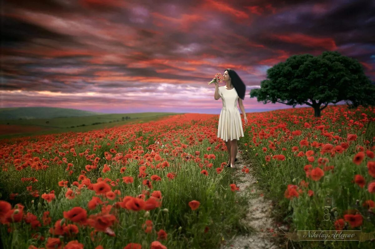 Песня я хочу на поле. Ромашковое поле. Поле солнце. Девушка в поле. «поле васильков».