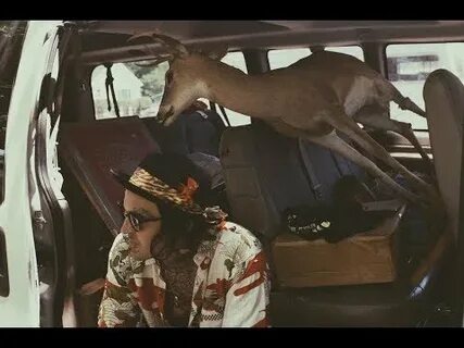 Yelawolf row your