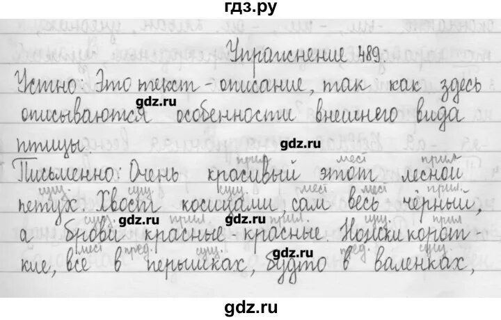 Русский язык 3 класс упражнение 489. Русский язык 3 класс страница 55 упражнение. Русский язык 3 класс Рамзаева упражнение 489. Русский язык 3 класс Рамзаева упражнение. Домашнее задание русский язык 3 класс рамзаева