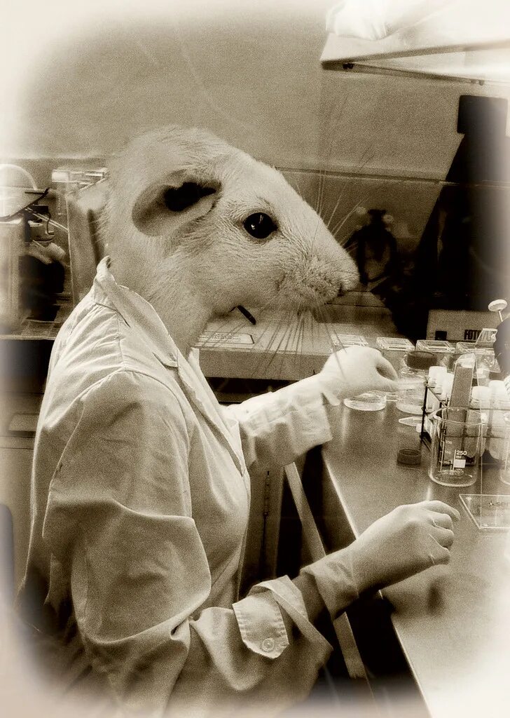 Крыса ученый. Cute rat Scientist. Scientist rat Art. Воалаво