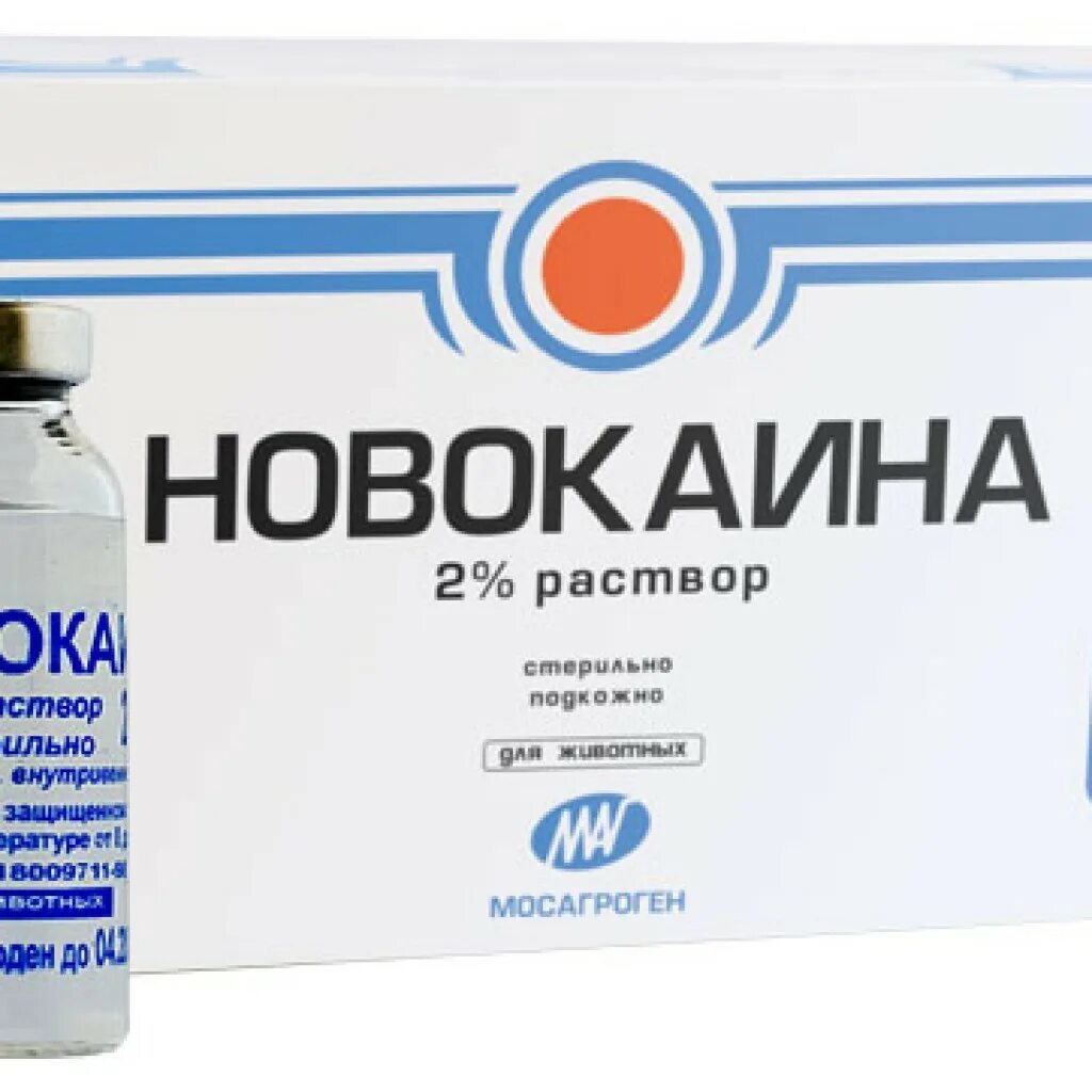 Свечи с новокаином. Новокаин свечи аналог. Свечи от геморроя с новокаином. Новокаин супп рект 100мг. Мазь с новокаином.