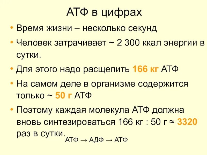 Анализ атф