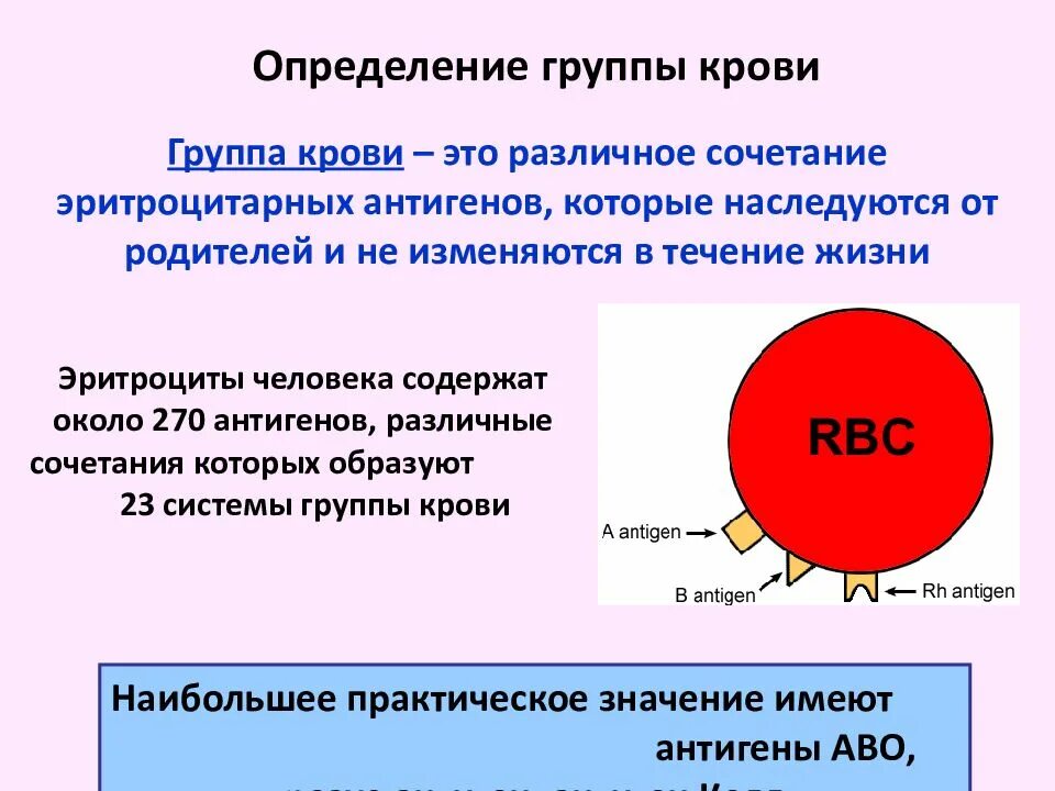 Золотая группа крови это. Группы крови презентация. Презентация по группам крови. Кровь группы крови презентация. Гемотрансфузия определение группы крови.