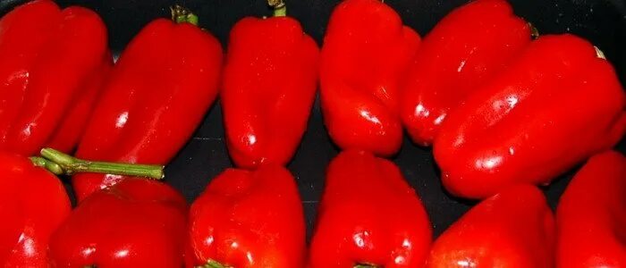 10 сортов перцев